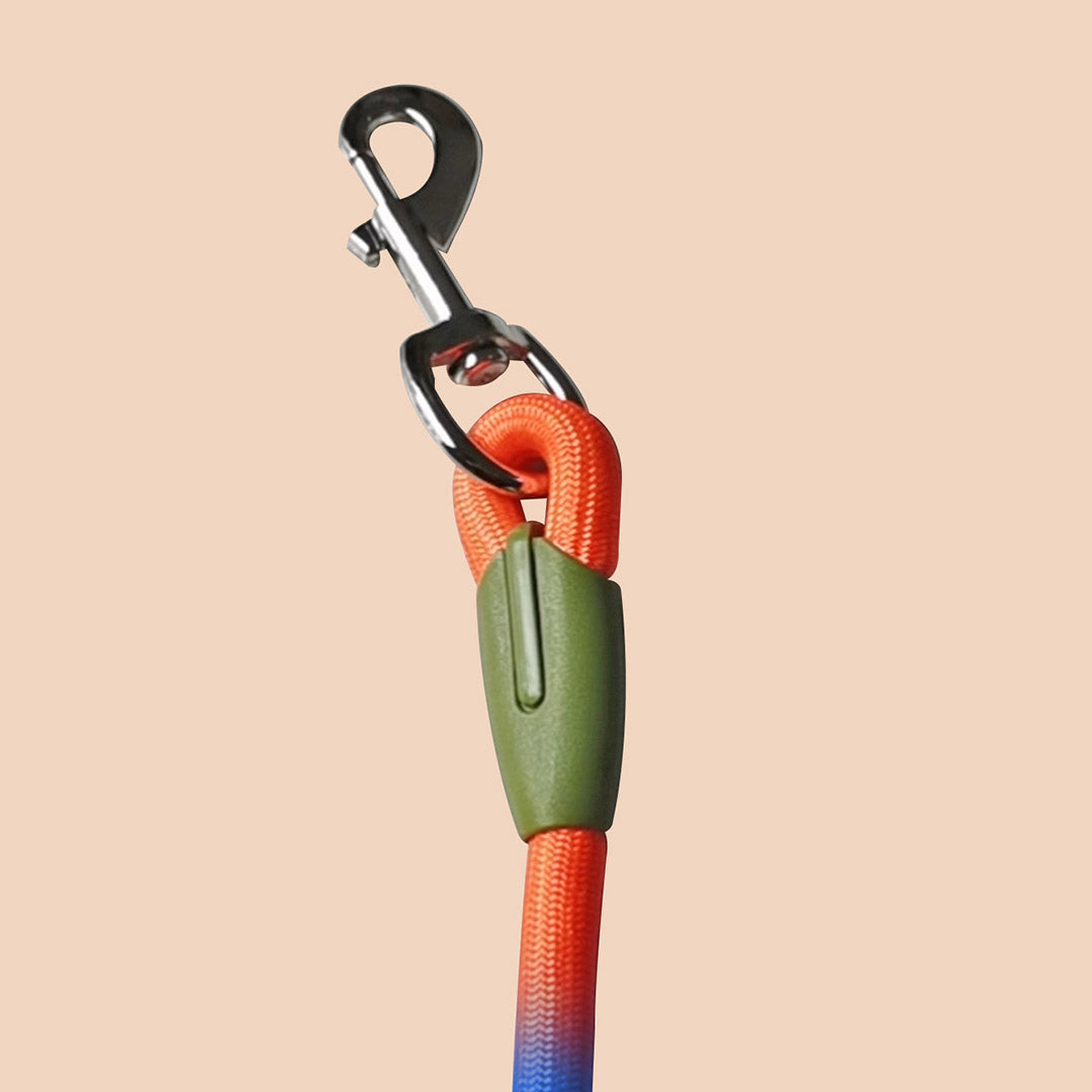 Soga 220cm Multifunction Hands Free Rope Pet Cat Dog Puppy Double Ended Leash For Walking Training Tracking Obedience Rainbow