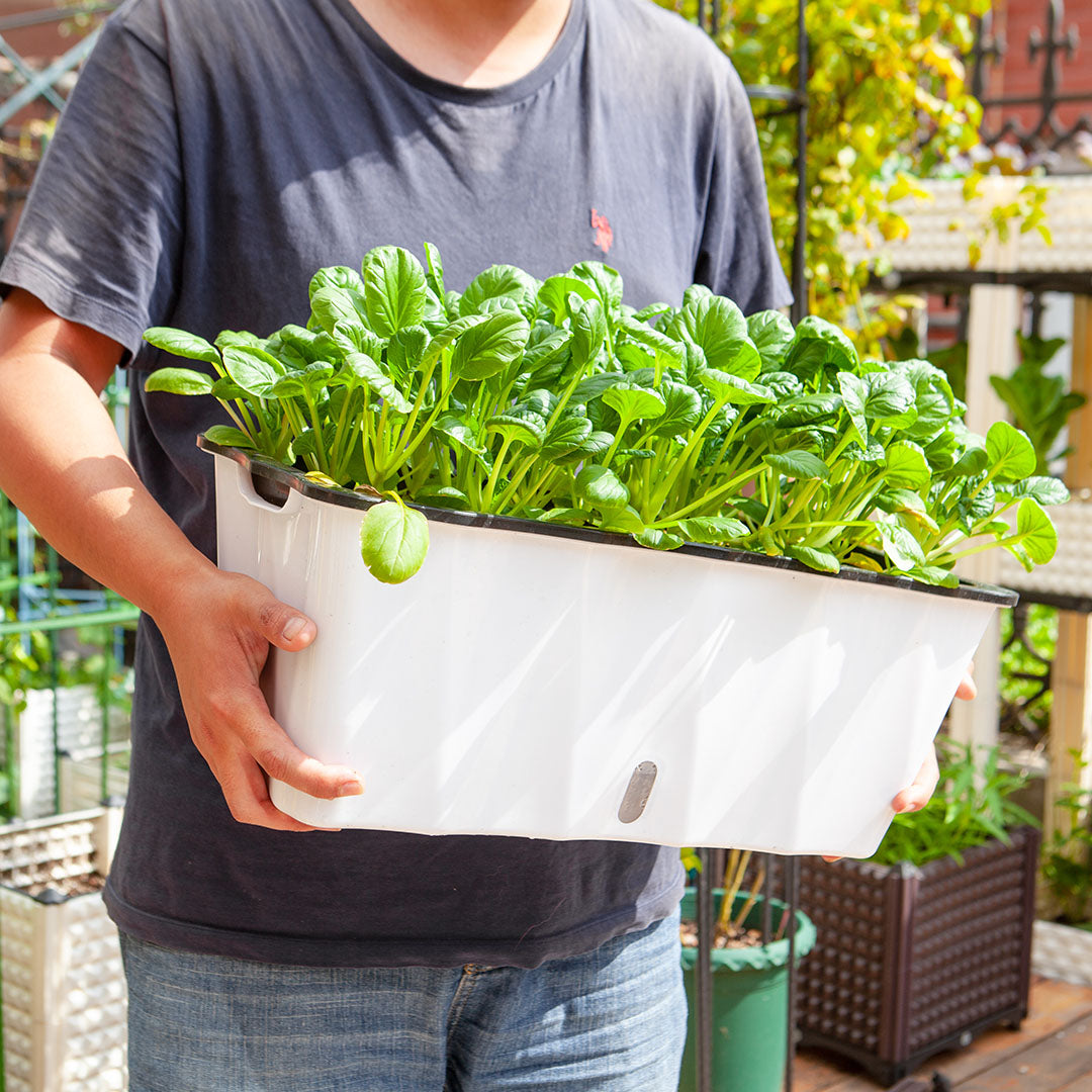 2X Large White Rectangular Flowerpot Vegetable Herb Flower Outdoor Plastic Box Garden Decor
