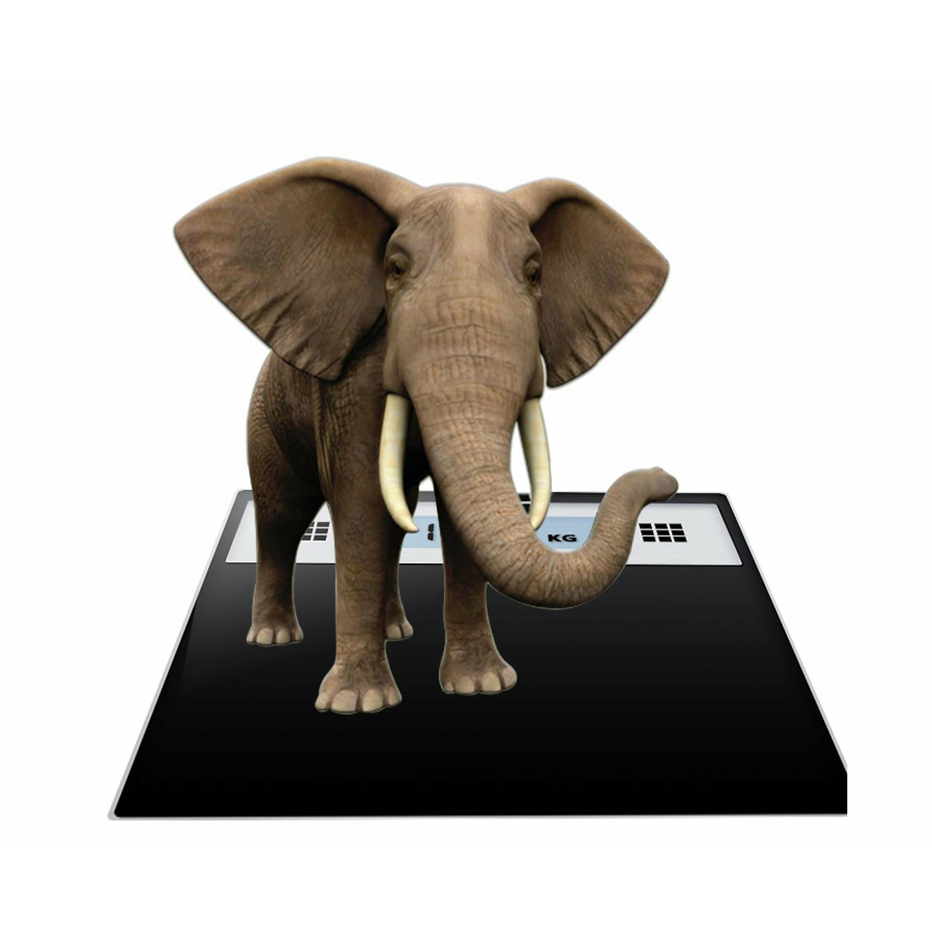 Soga 2 X 180kg Electronic Talking Scale Weight Fitness Glass Bathroom Scale Lcd Display Stainless