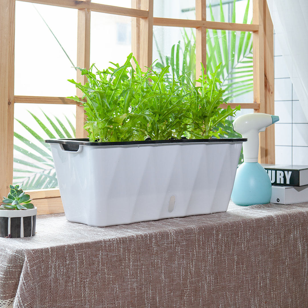 2X Large White Rectangular Flowerpot Vegetable Herb Flower Outdoor Plastic Box Garden Decor