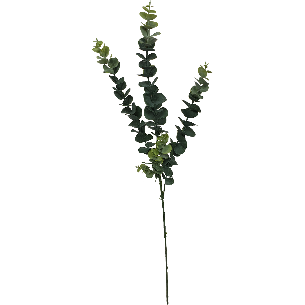 5 Pack - Long Eucalyptus Stem 77 cm