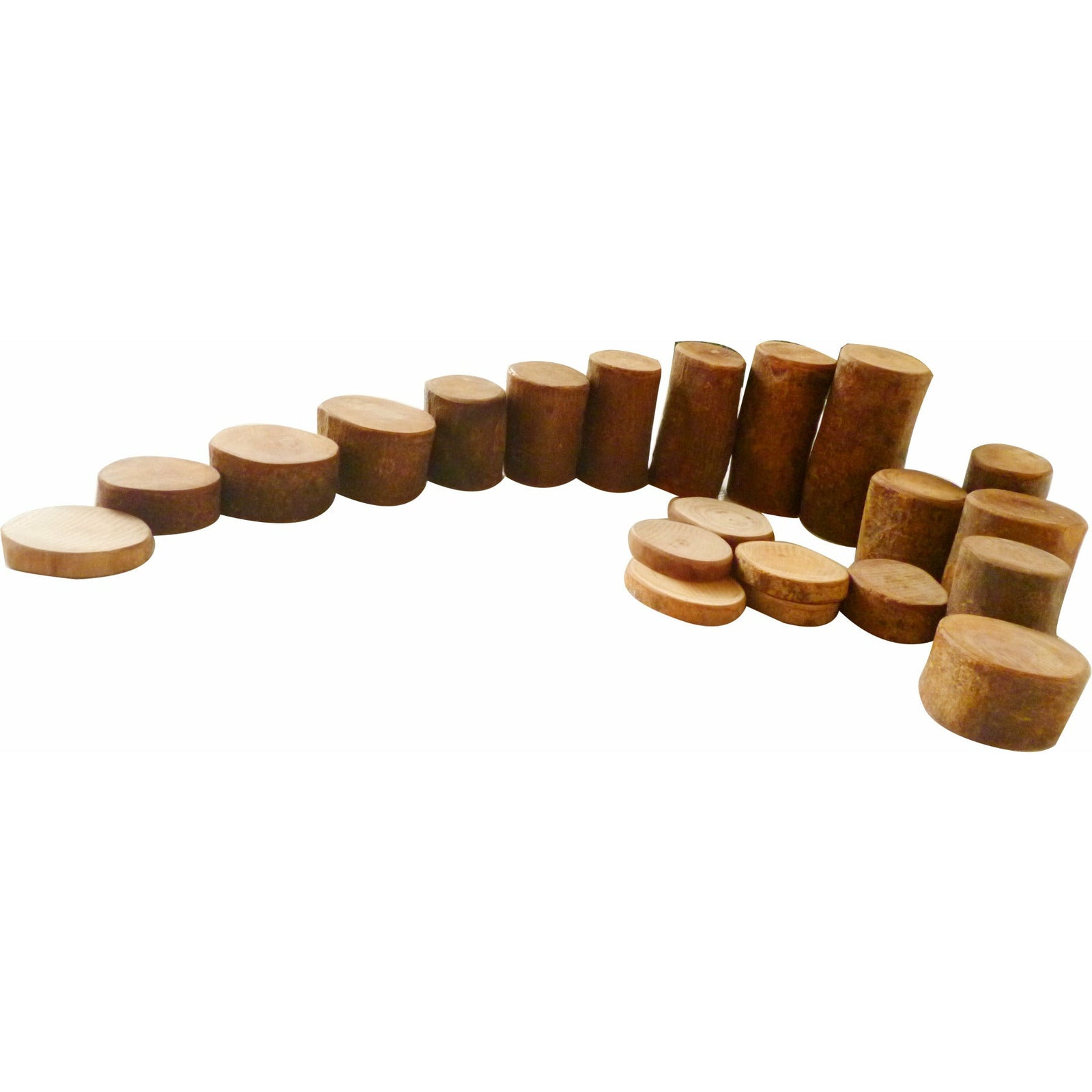 Tree Counting Set 70 pcs