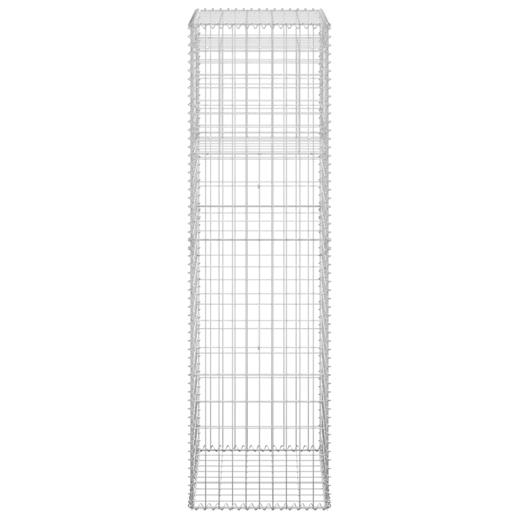 Gabion Basket Posts 2 pcs 50x50x180 cm Iron