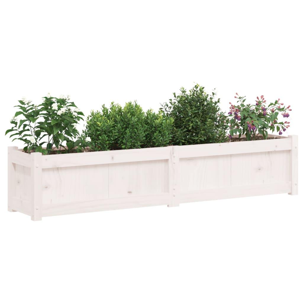 Garden Planters 2 pcs White Solid Wood Pine