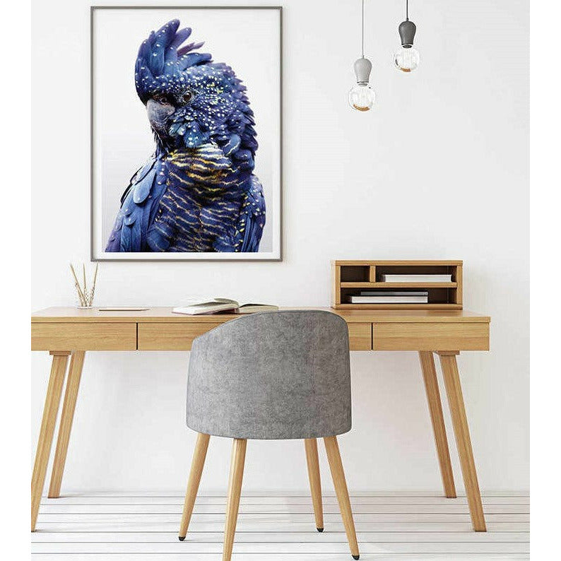 70cmx100cm Black Cockatoo A Black Frame Canvas Wall Art
