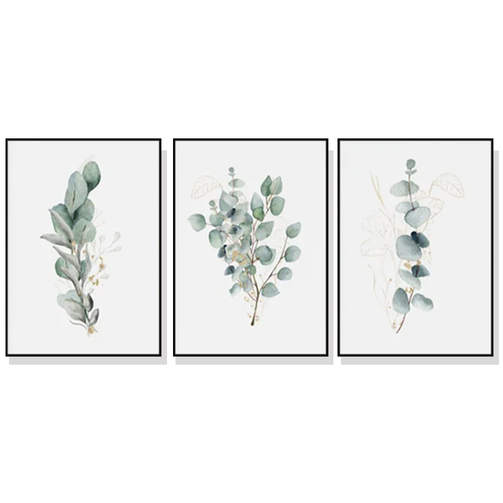 40cmx60cm Eucalyptus Plant 3 Sets Black Frame Canvas Wall Art