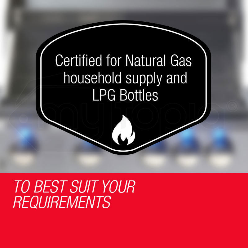 EuroGrille 5 Burner Outdoor BBQ Grill Barbeque Gas Stainless Steel Kitchen Commercial