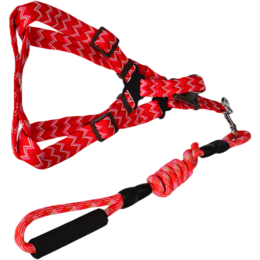 2 X Medium Pet Dog Cat Puppy Kitten Rabbit Dog Harness Collar leash lead 5 Color