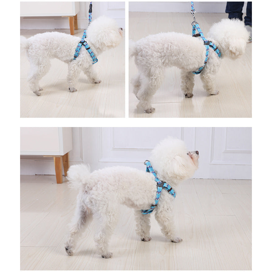 2 X Medium Pet Dog Cat Puppy Kitten Rabbit Dog Harness Collar leash lead 5 Color