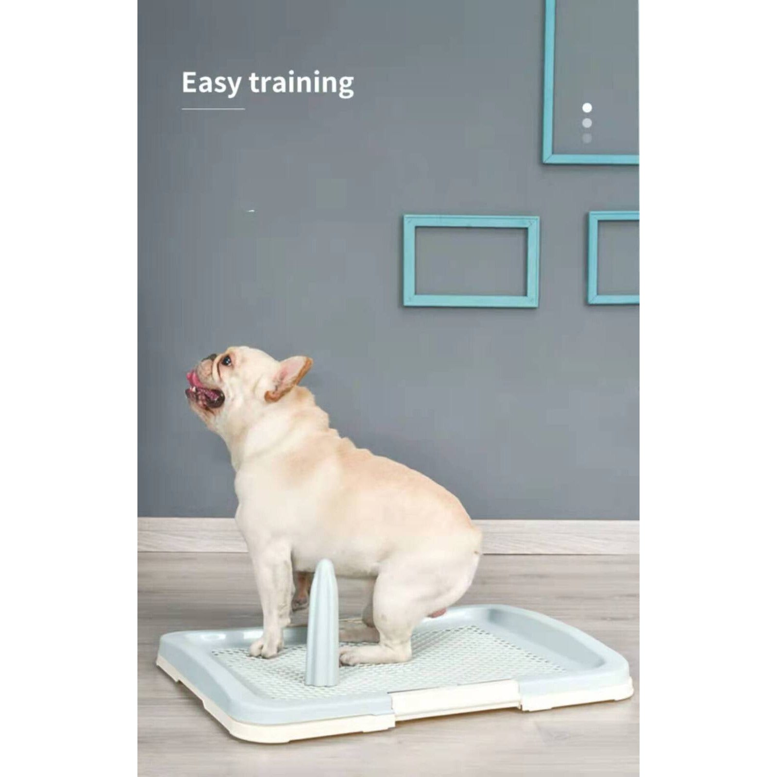 Large Portable Dog Potty Training Tray Pet Puppy Toilet Trays Loo Pad Mat Blue