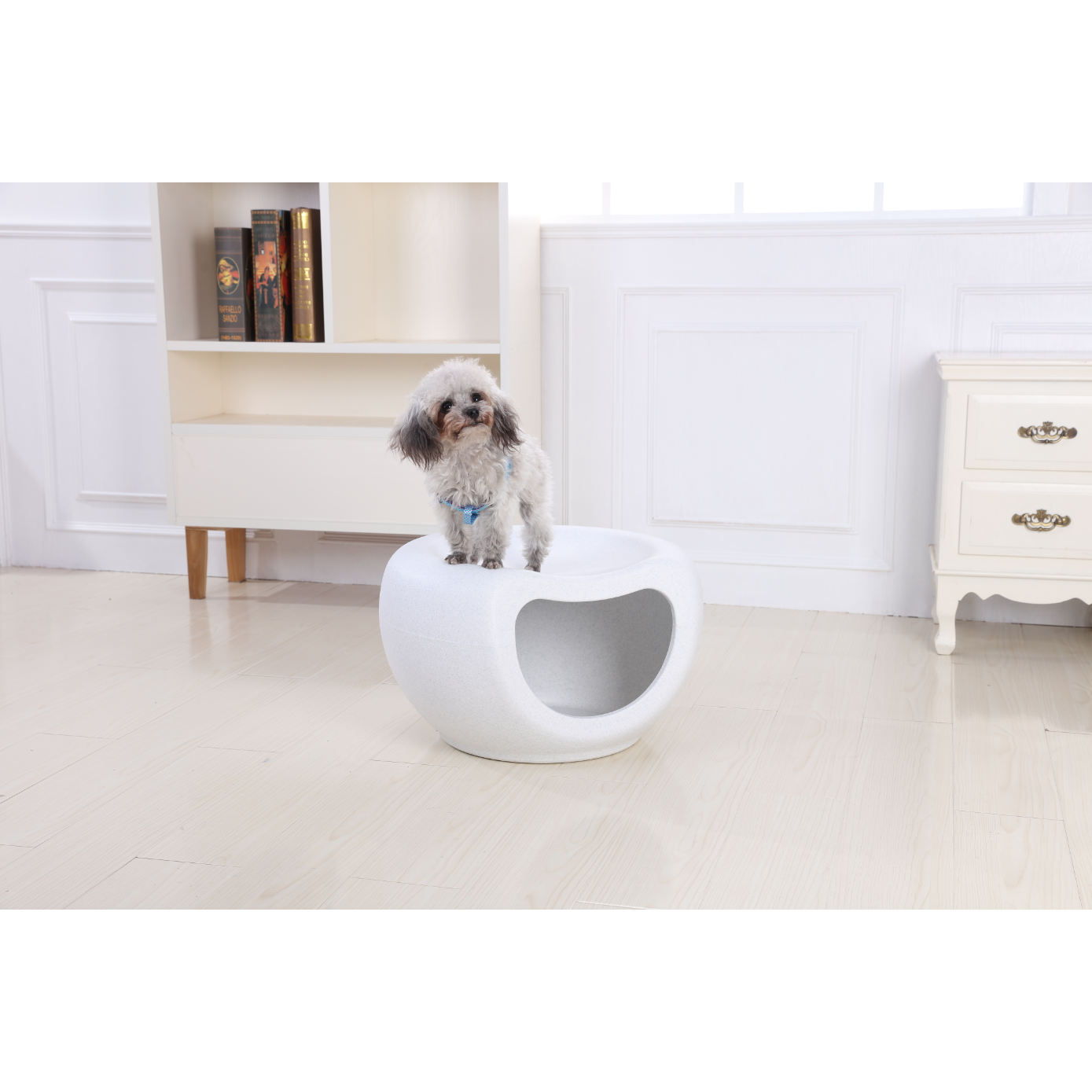 Cat Kitten Bed Cave Small Dog House Kennel Plastic Pet Pod Bedding Igloo White