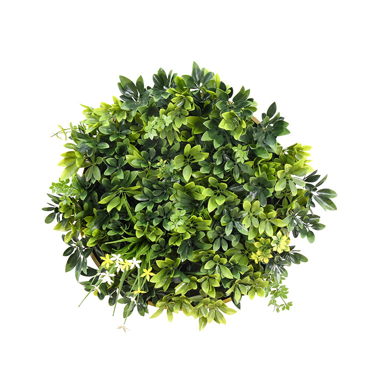 Artificial Green Wall Plant Garden Panel Daffodil Smile Disc Art 50cm Grassy UV Resistant Frame