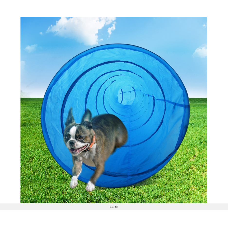 Portable Pet Dog Agility Training Exercise Tunnel Chute with Carry Bag 5.5M