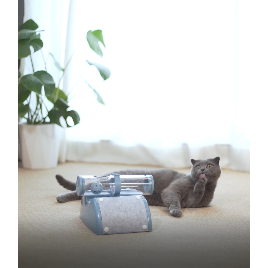 Cat Play Box Kit Pet Toy Kitten Toys Interactive Ball Peek Hunting Toy-Blue