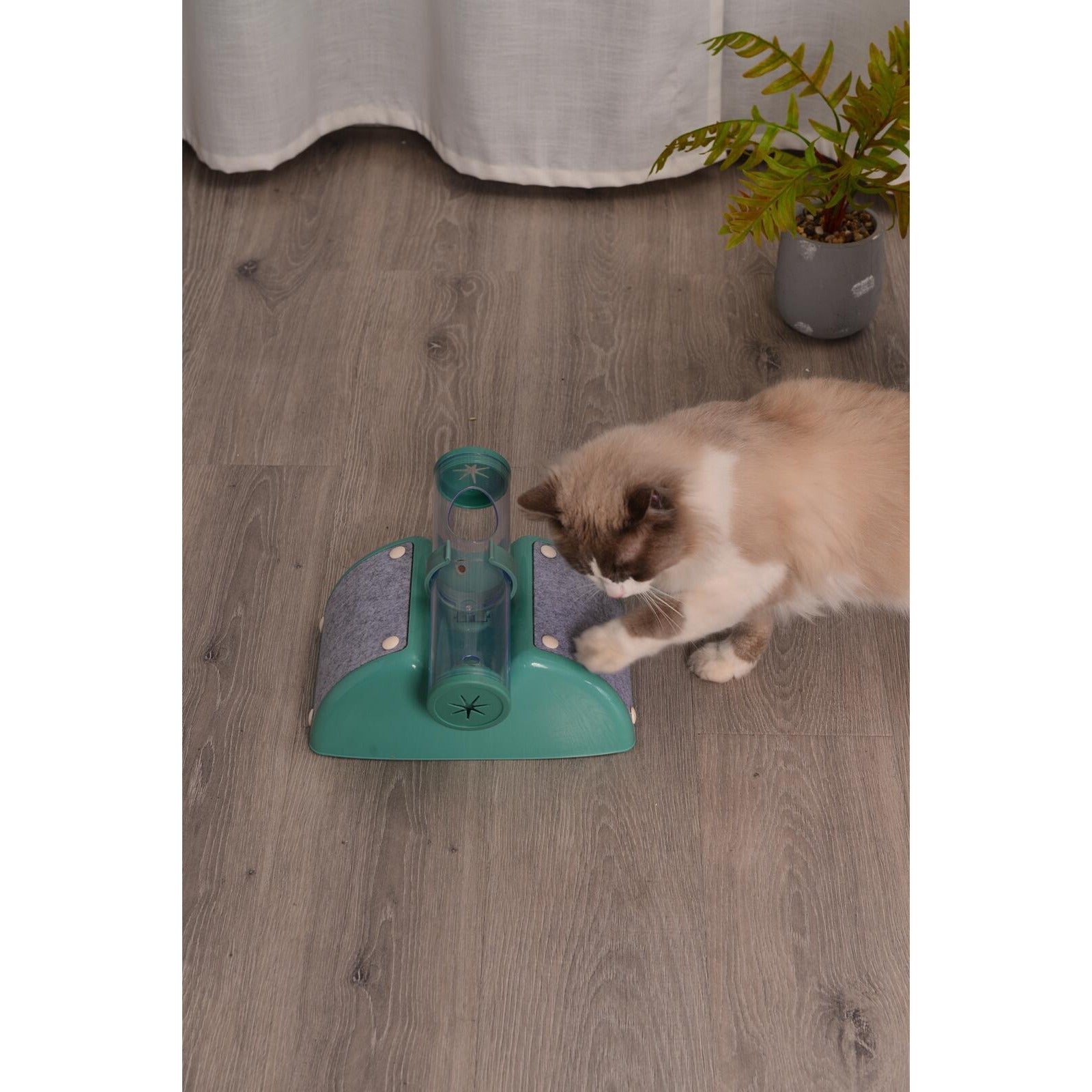 Cat Play Box Kit Pet Toy Kitten Toys Interactive Ball Peek Hunting Toy-Green