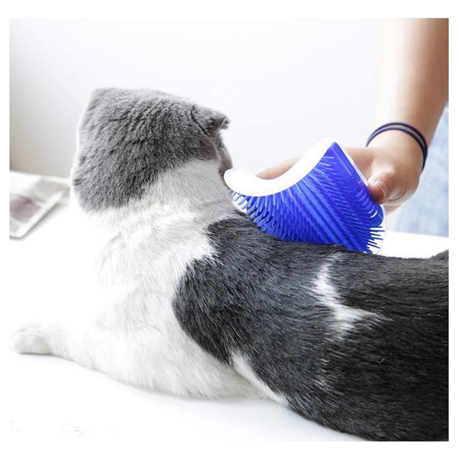 Cat Self Groomer Catnip Dog Cat Toy Corner Groomer Wall Corner Scratcher Comb Grooming Massage Brush Blue