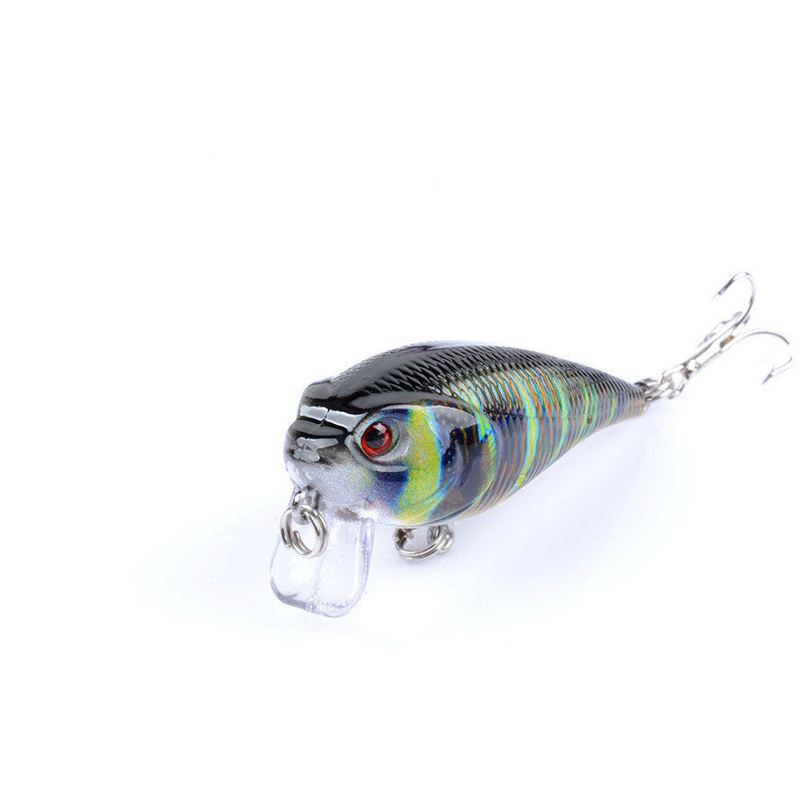 4x 5.5cm Popper Crank Bait Fishing Lure Lures Surface Tackle Saltwater