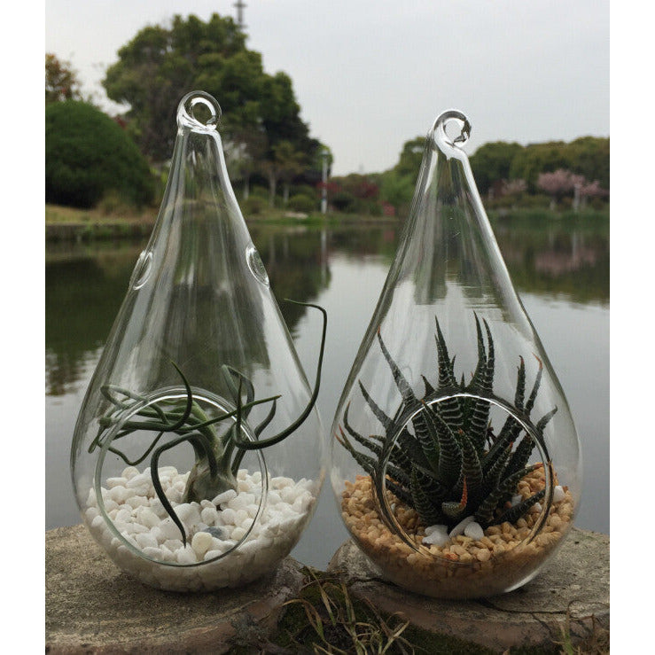 4 Pack of Hanging Clear Glass Tealight Candle Holder Tear Drop Pear Hour Glass Shape - 20cm High Terrarium Plant Mini Garden Holder D�cor Craft Gift