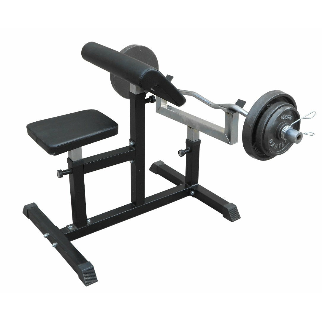 Preacher Curl Bench Weights Commercial Bicep Arms