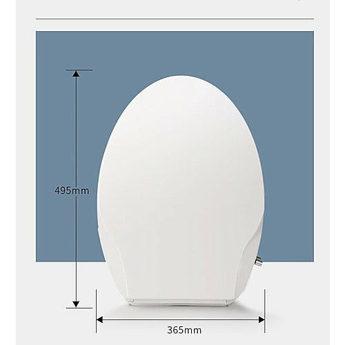 Non Electric Bidet Toilet Seat W/ Cover Bathroom Spray Washlet Water Wash