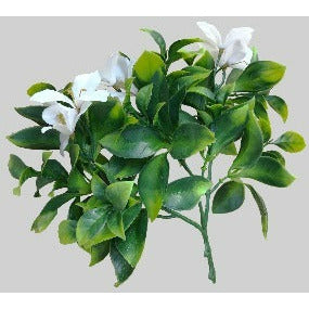 White Flowering Jasmine Stem UV Resistant 30cm