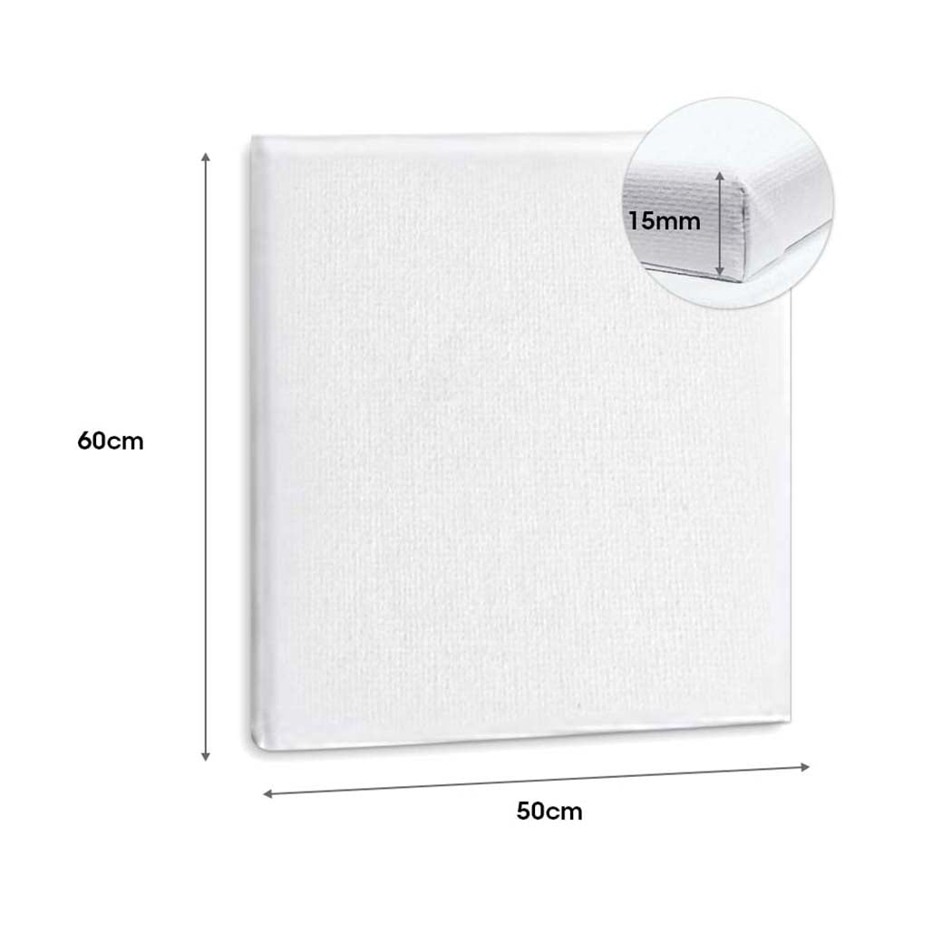 5x Artist Canvas Blank Stretched Canvases-1919892885600342018