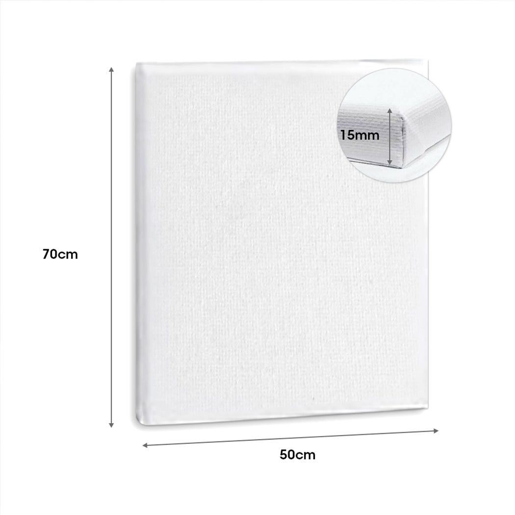 5x Artist Canvas Blank Stretched Canvases-1919892885751336962