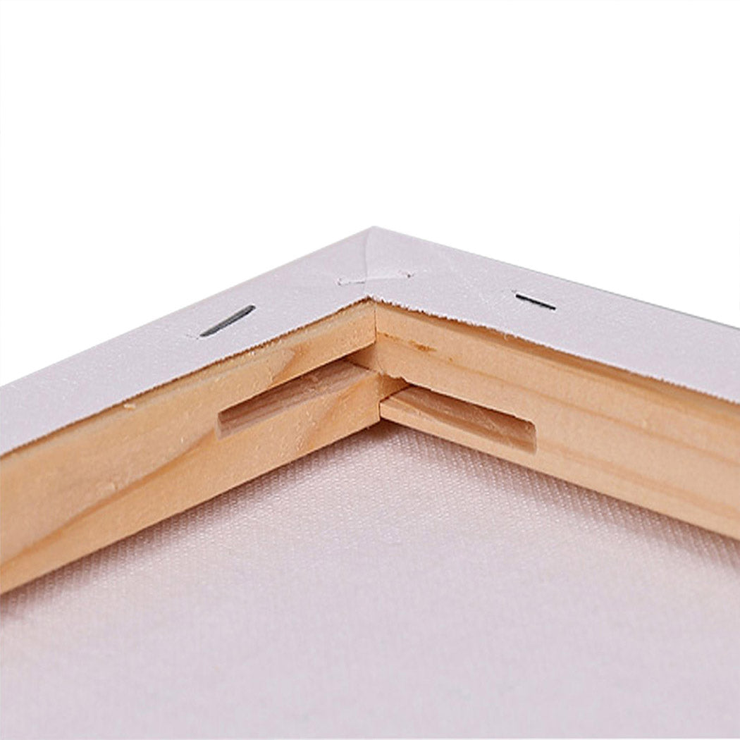 5x Artist Canvas Blank Stretched Canvases-1919892885751336964
