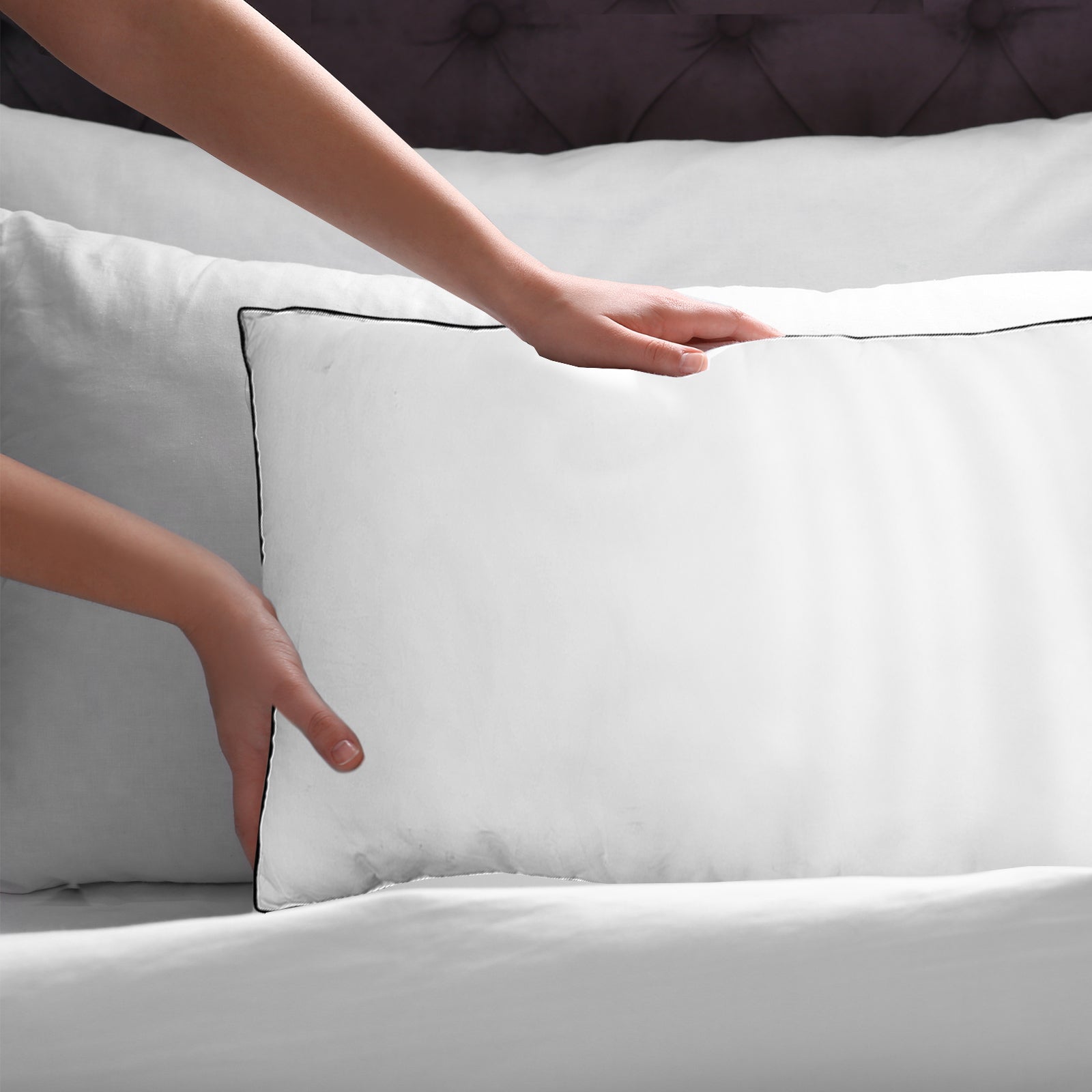 Casa Decor Silk Blend Pillow - Twin Pack-1951134818171490307