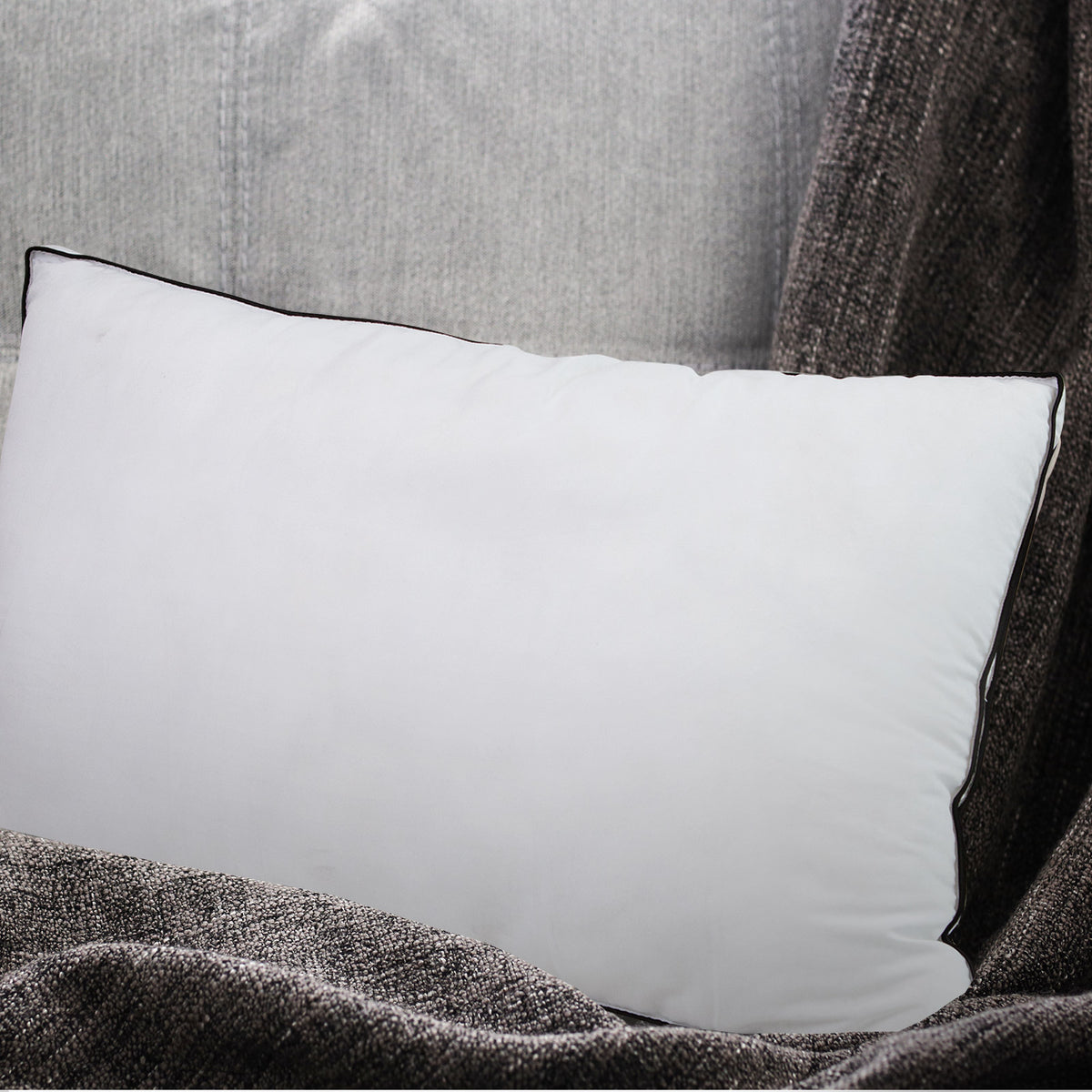 Casa Decor Silk Blend Pillow - Twin Pack-1951134818171490311