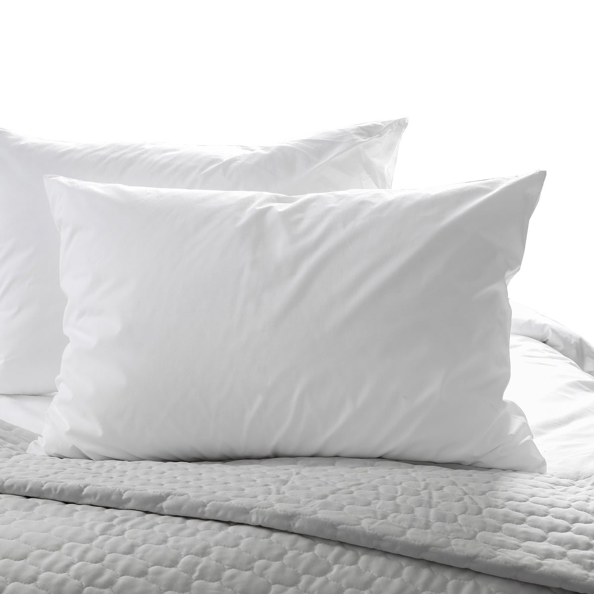 Casa Decor 50% Duck Feather 50% Duck Down Pillow - Twin Pack-1951134818536394752