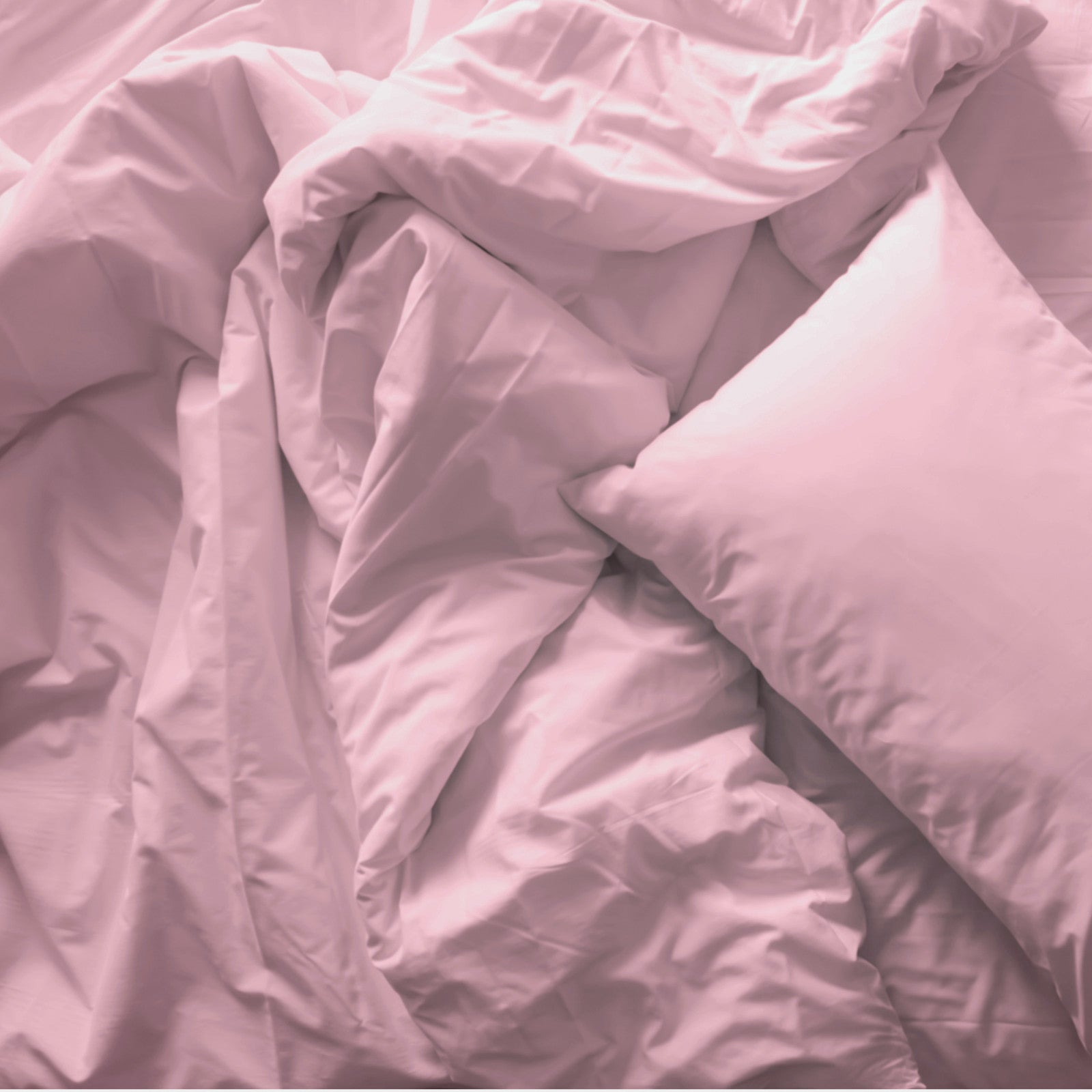 Royal Comfort Blended Bamboo Quilt Cover Sets -Blush-Queen-1951134819853406211