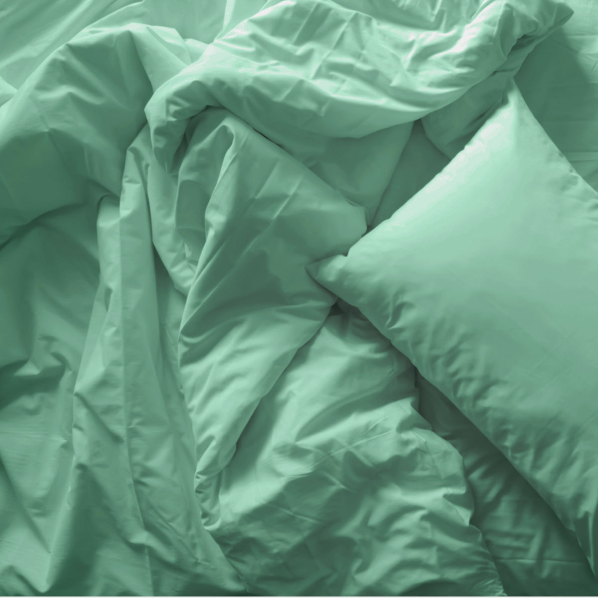Royal Comfort Blended Bamboo Quilt Cover Set - King - Green Mist-1951134820956508163