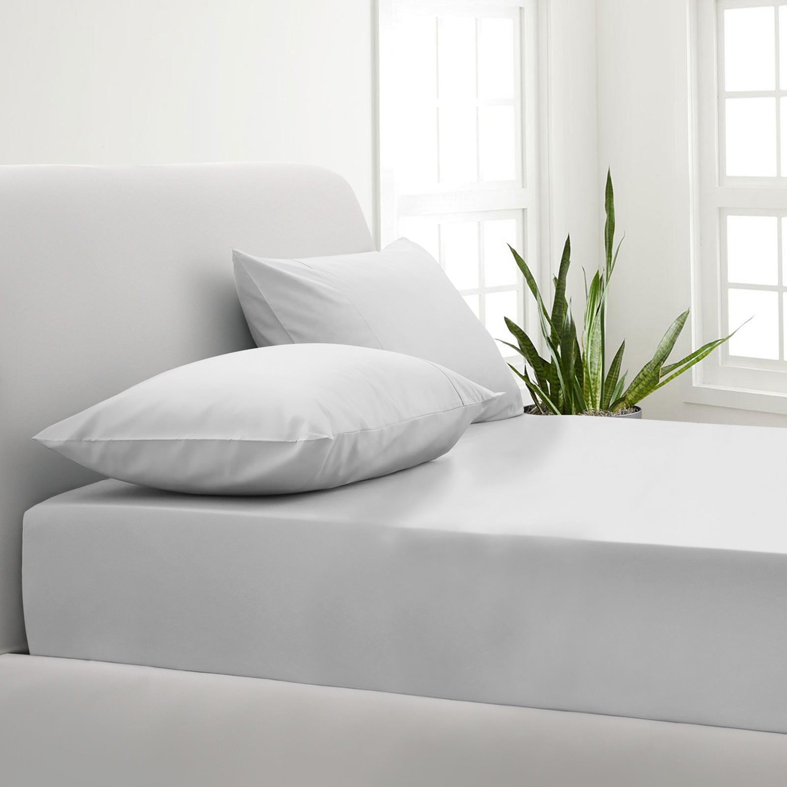 Park Avenue 1000 Thread Count Cotton Blend Combo Set - Double - White-1951134867727192064