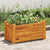 Garden Raised Bed Acacia Wood 50x25x25 cm