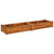 Garden Raised Bed Acacia Wood 200x50x25 cm