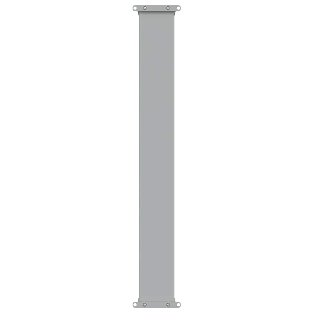 Patio Retractable Side Awning 100 x 300 cm Black