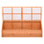 Greenhouse Wood 180x57x62 cm