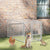 Outdoor Dog Kennel 100x200x100 cm