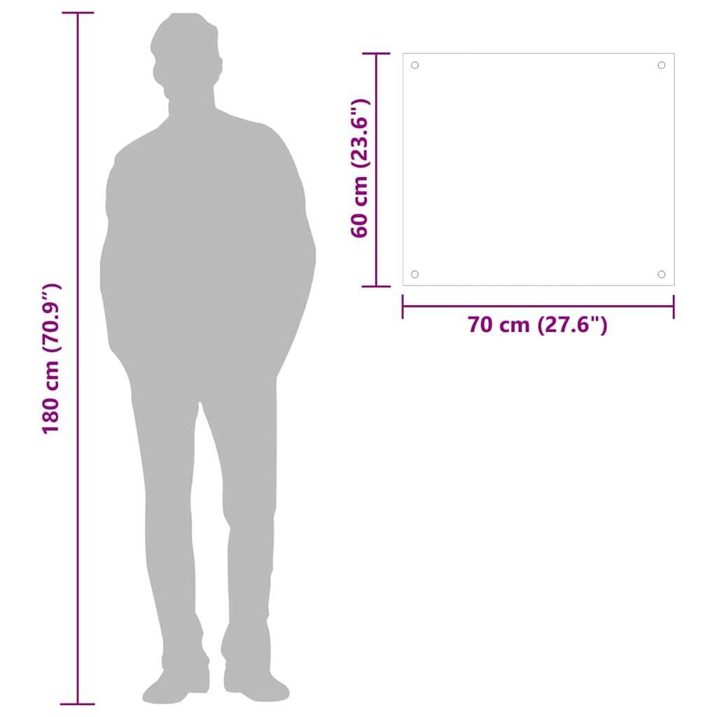 Kitchen Backsplash Black 70x60 cm Tempered Glass