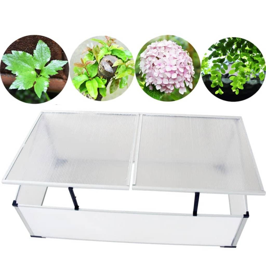 Cold Frame 2 Lids 110x41x55 cm