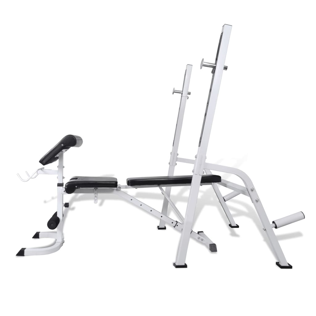 Multi-exercise Workout Bench