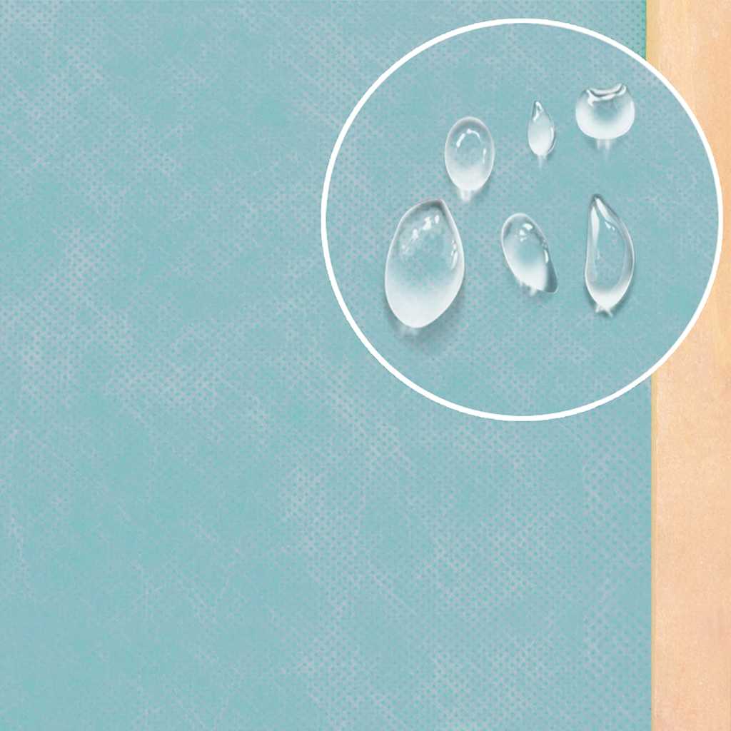 Outdoor Chicken Coop