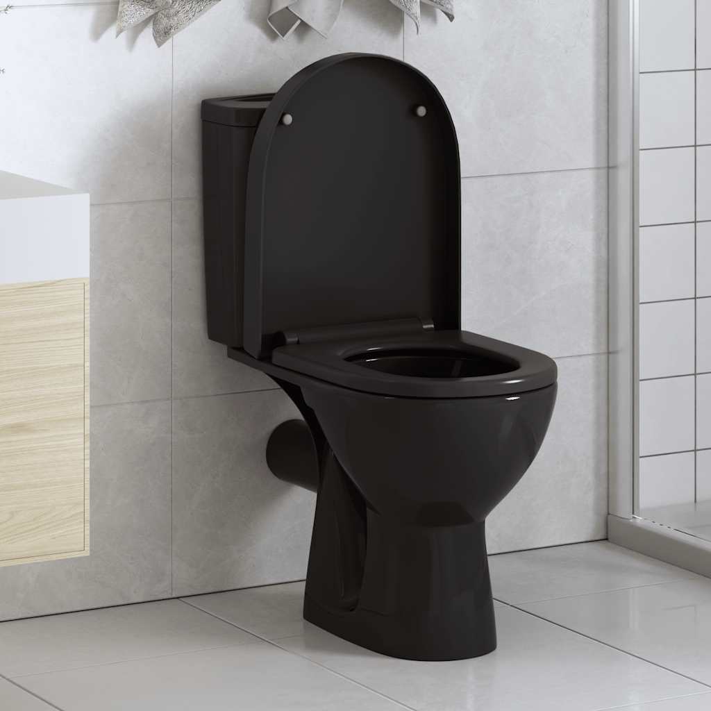 Soft-close Toilet Seat with Quick-release Design Black