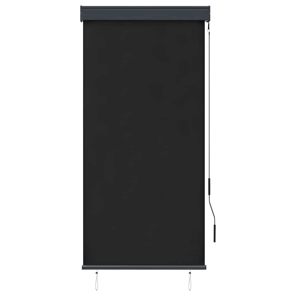 Outdoor Roller Blind 80x250 cm Anthracite