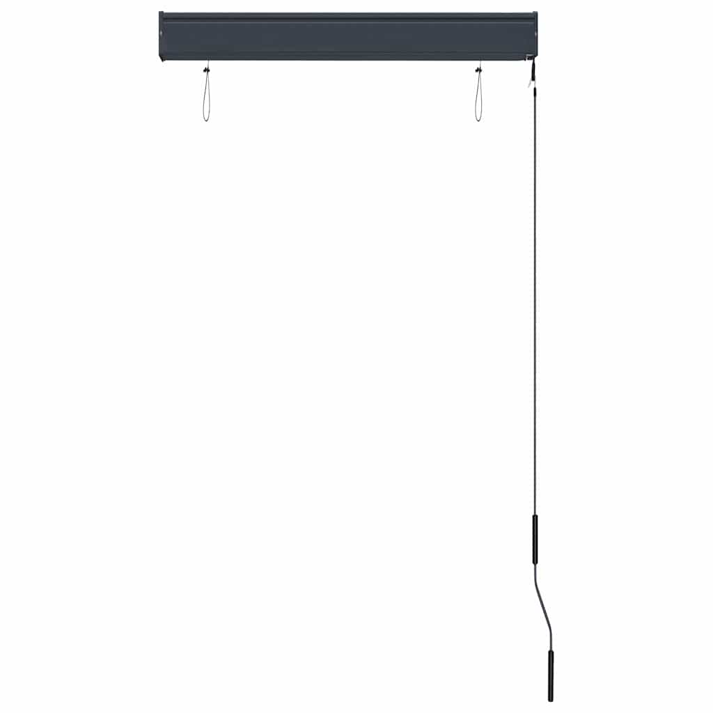 Outdoor Roller Blind 80x250 cm Anthracite