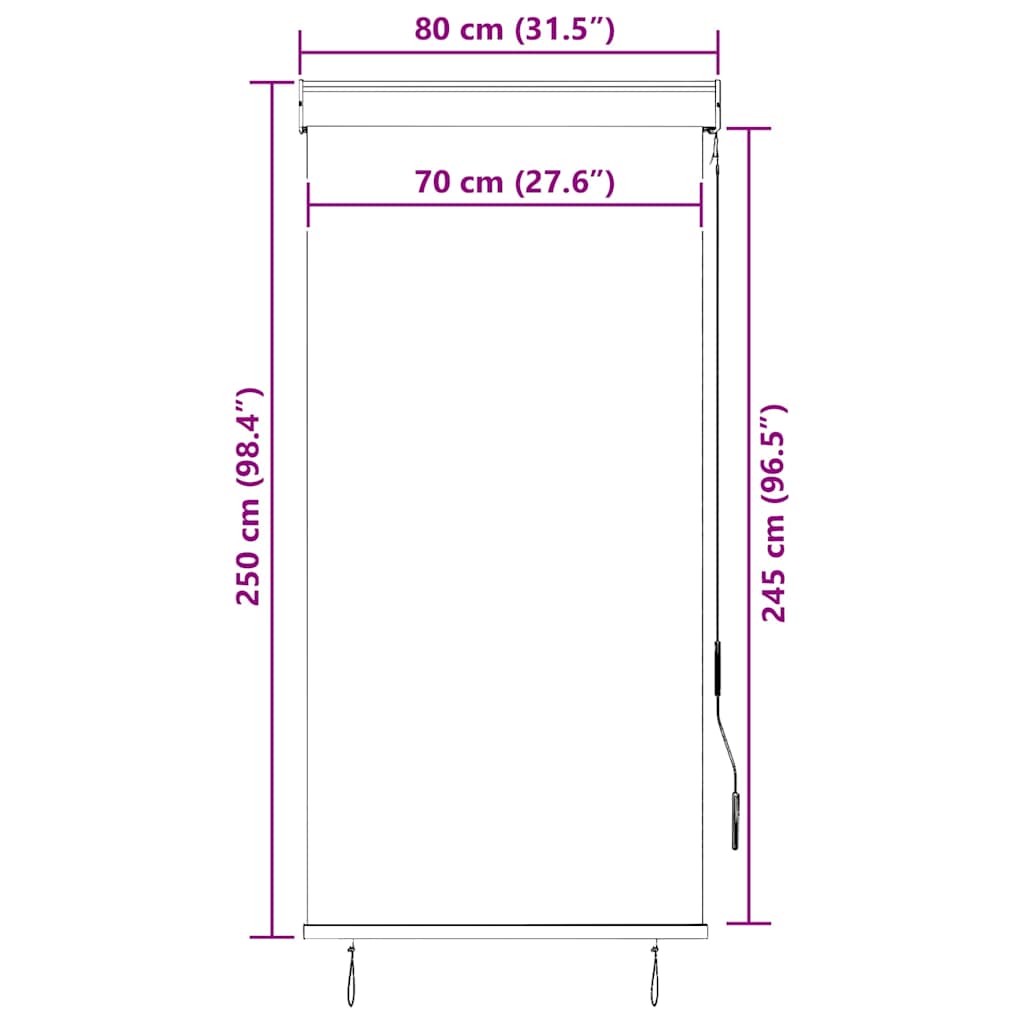 Outdoor Roller Blind 80x250 cm Anthracite