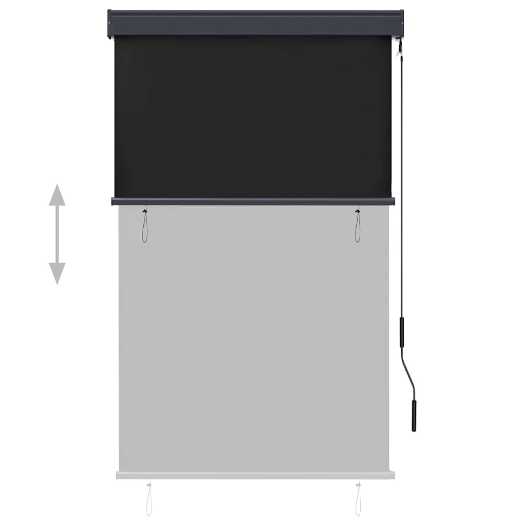 Outdoor Roller Blind 100x250 cm Anthracite