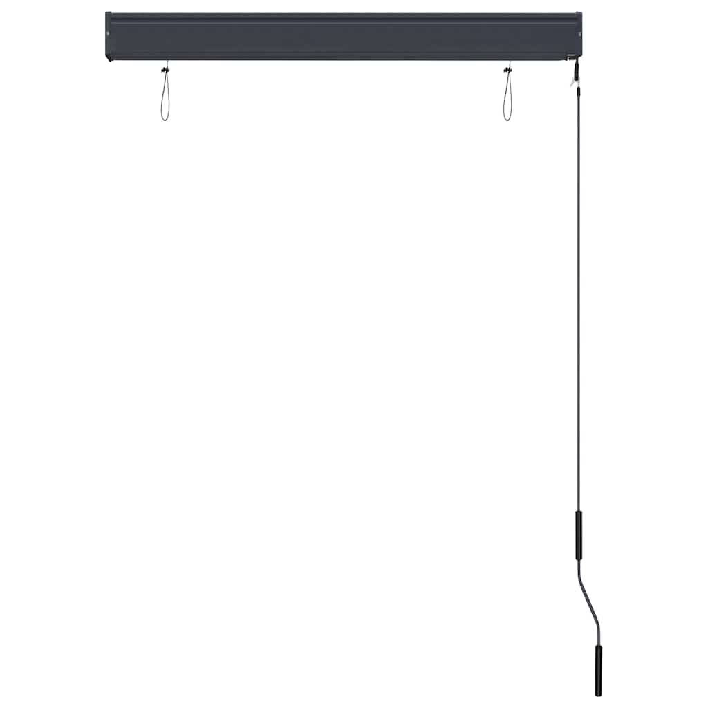 Outdoor Roller Blind 100x250 cm Anthracite