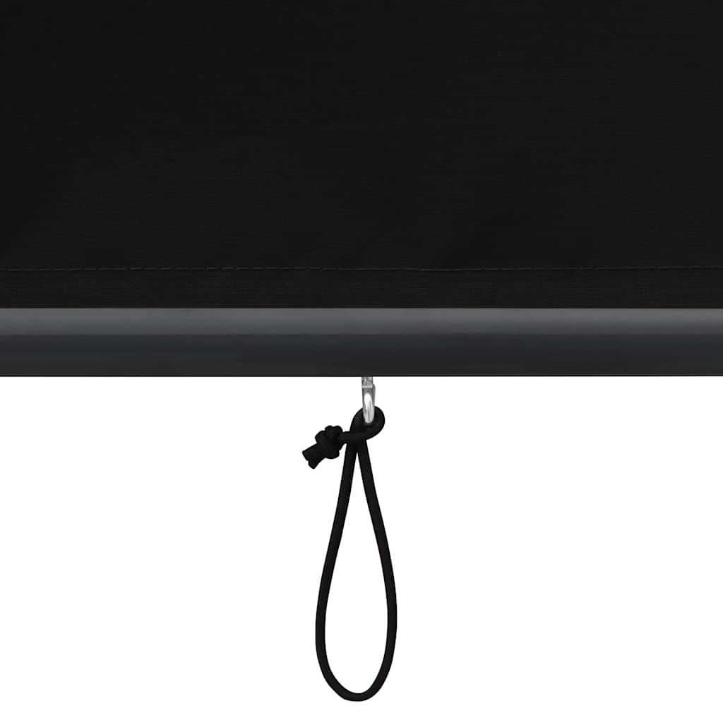 Outdoor Roller Blind 100x250 cm Anthracite